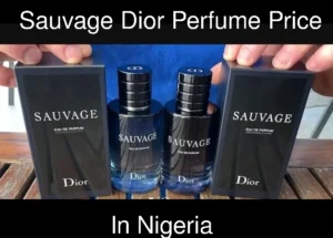 Sauvage Dior Perfume Price in Nigeria 2025 5 Sauvage Dior Perfume Price in Nigeria