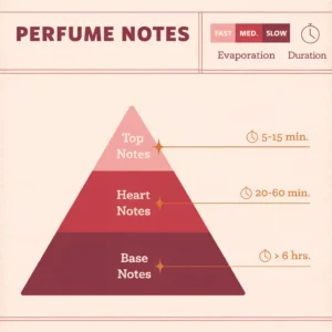 Notes in Perfume